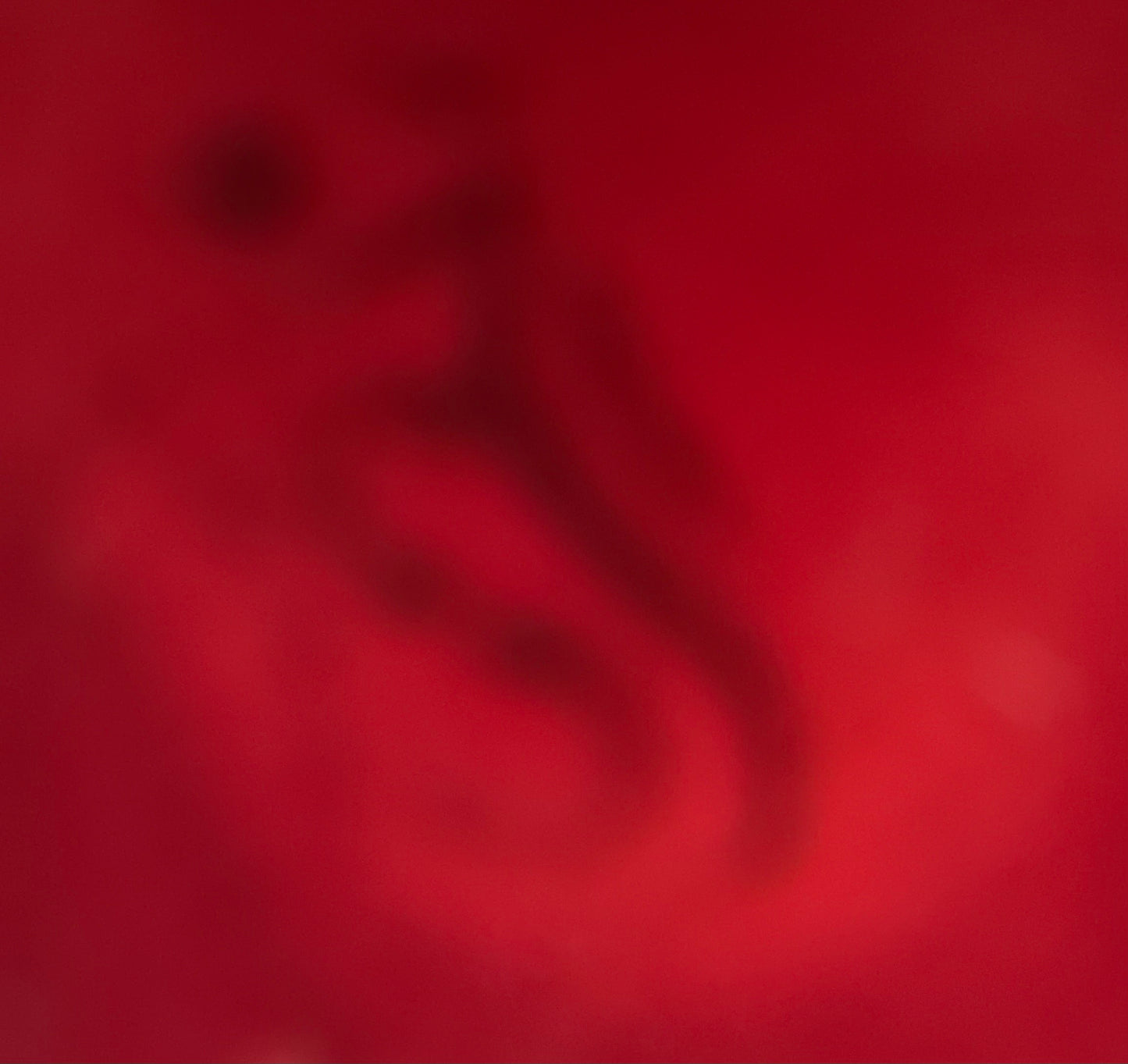 Secla vintage majolica lobster tureen like new