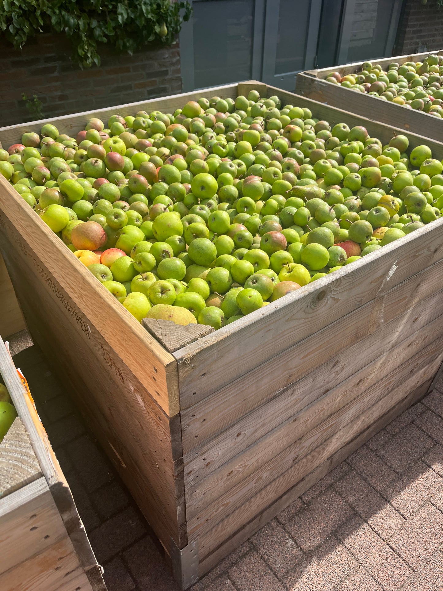 Schulp appel frambozen sap
