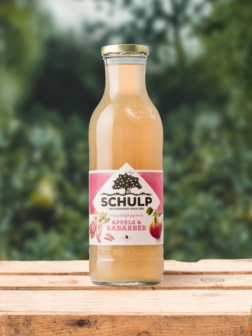 Schulp biologisch appel rabarber sap