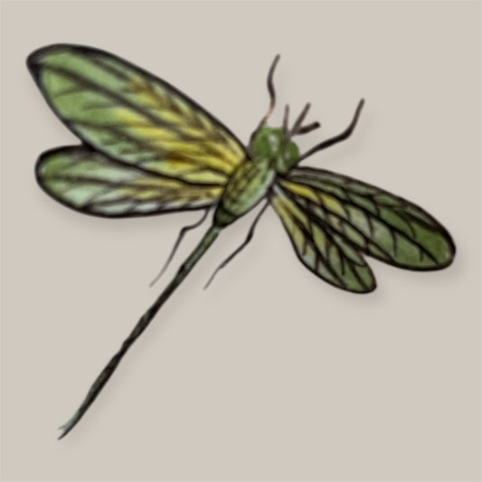 Octant bowl handpainted bamboo and insect