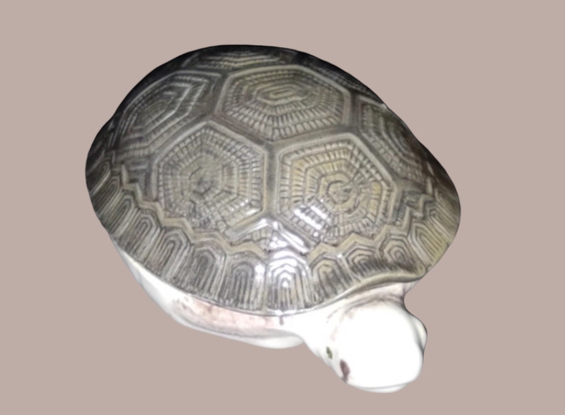 Michel Caugant turtle tureen