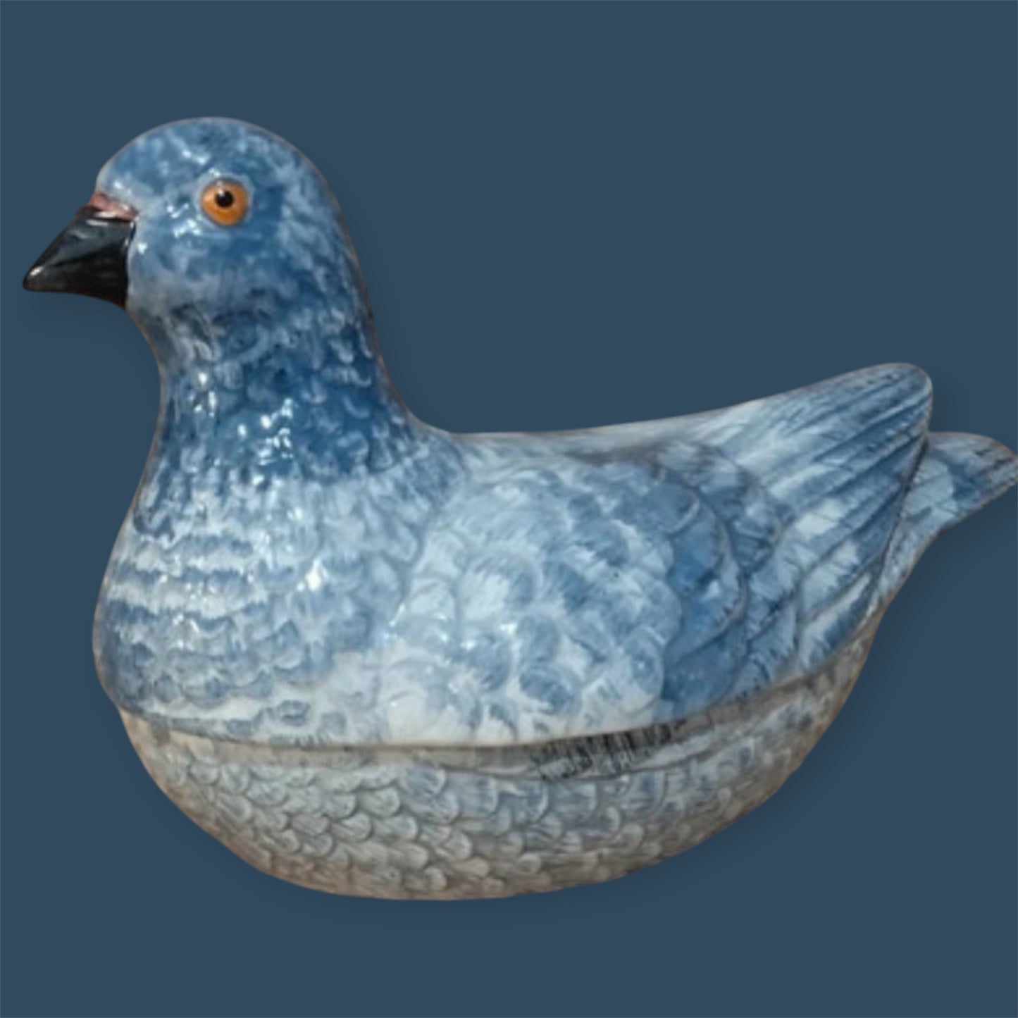 Terrine barbotine blue pigeon rare