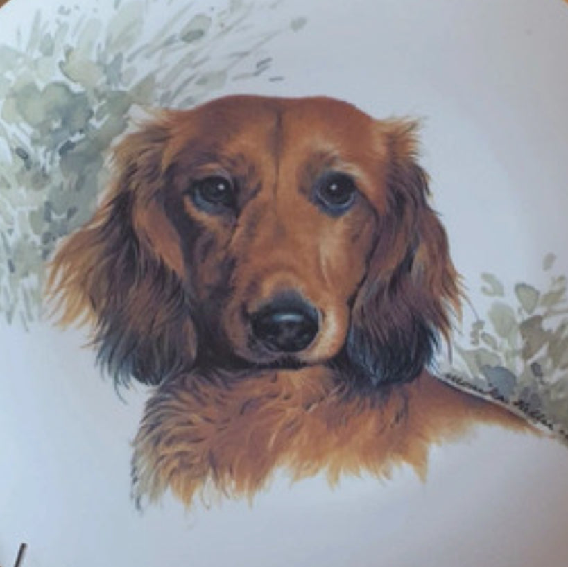 Porcelain decorative plate Dashund