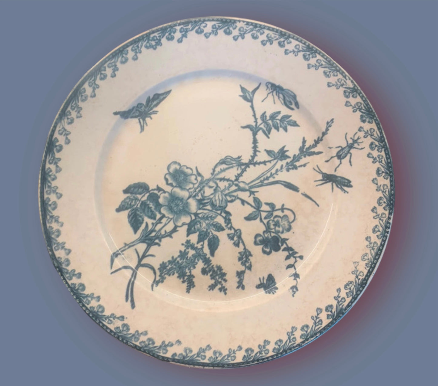 Antique french faience plate flowers insects