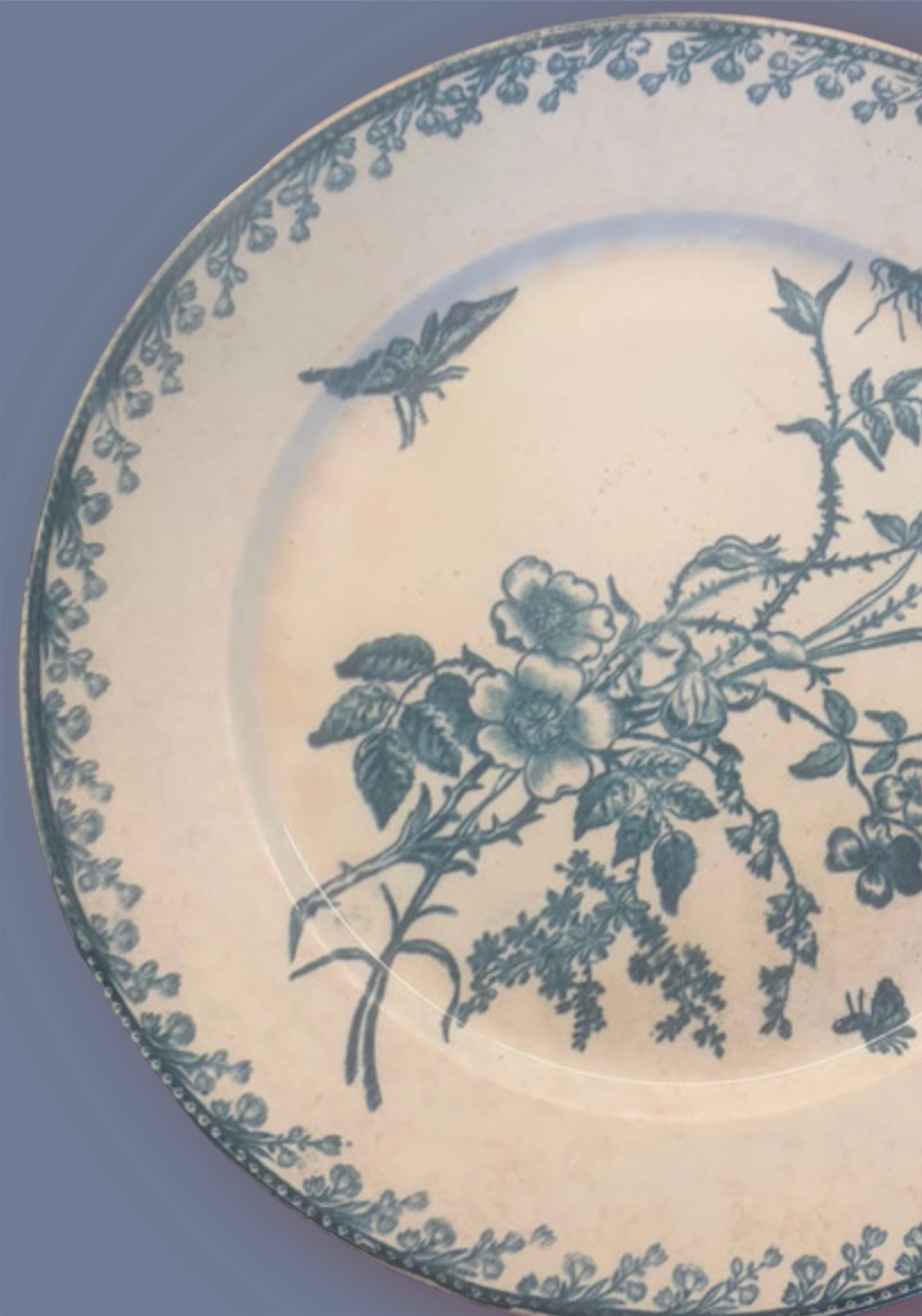 Antique french faience plate flowers insects