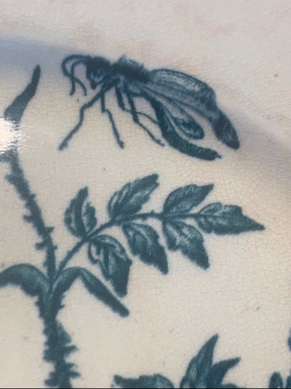 Antique french faience plate flowers insects