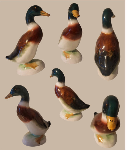 Duck statue