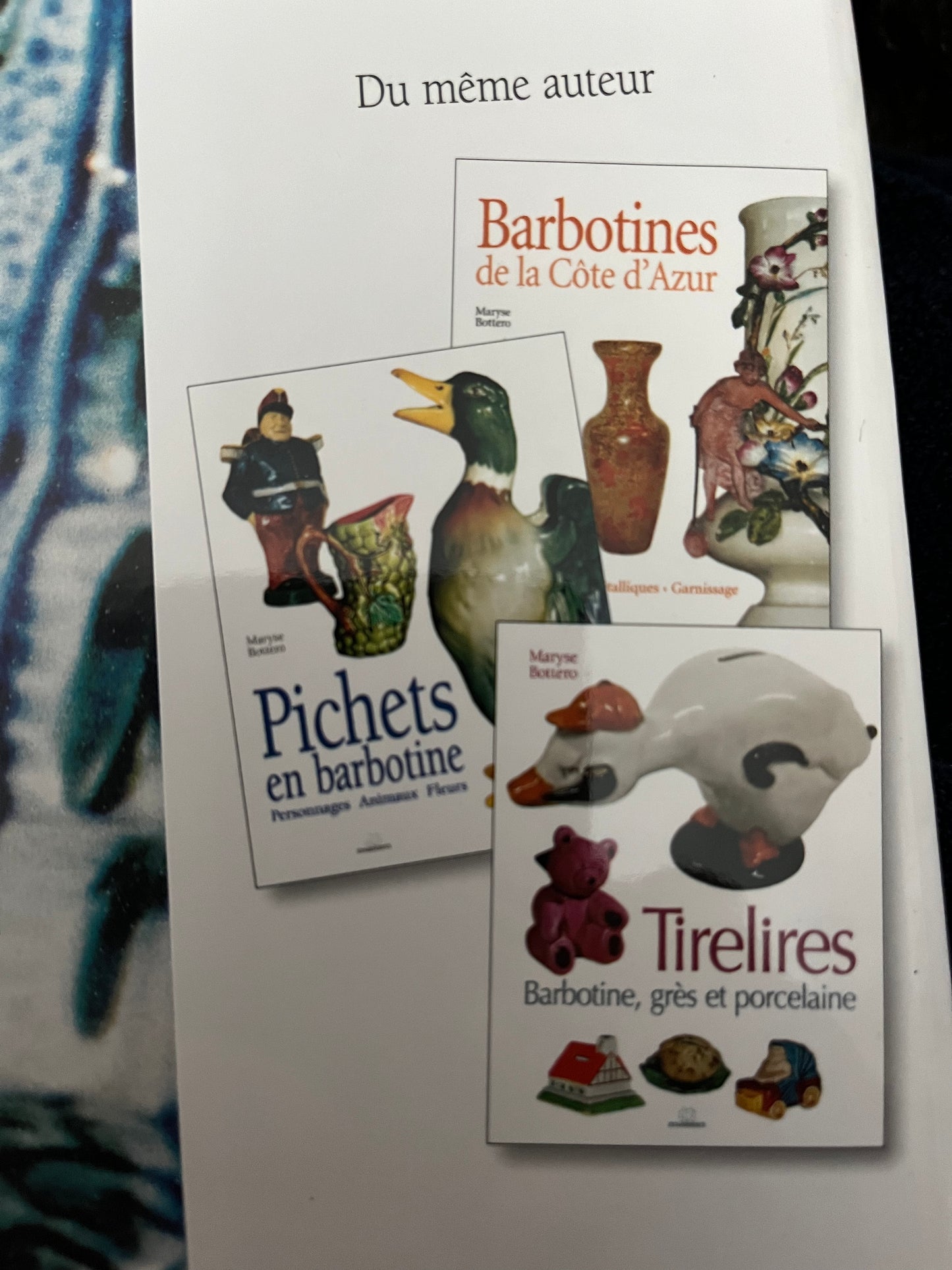 Artichauts et Asperges en barbotine - book by Maryse Bottero