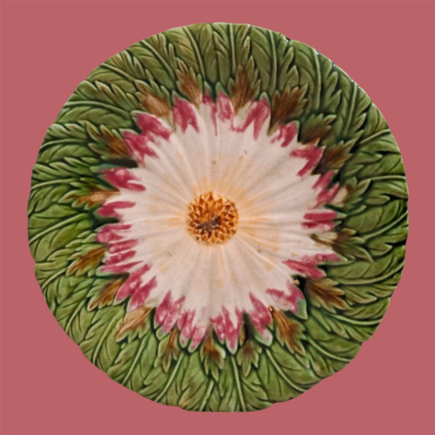 Majolica plate C1900 Daisy Orchies France
