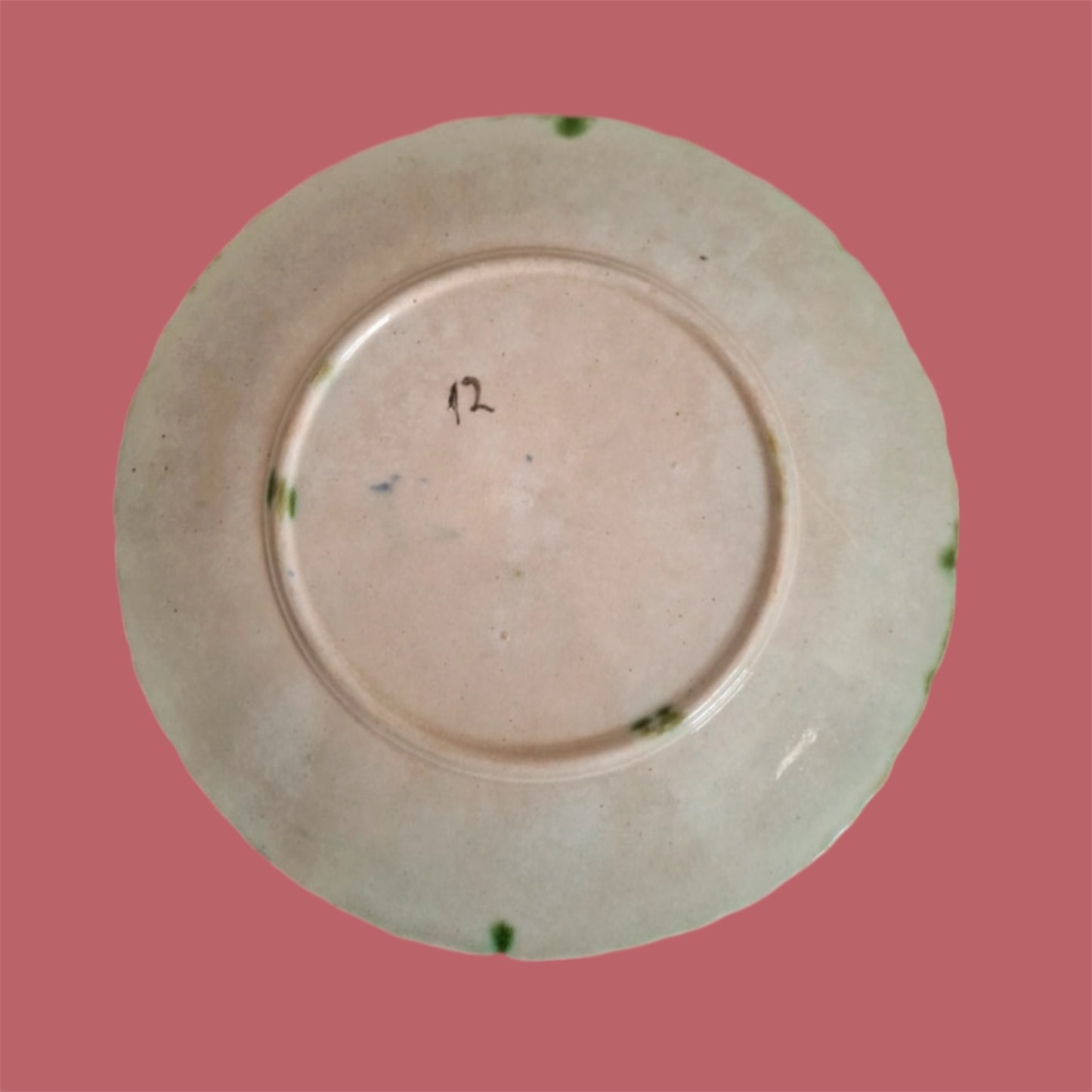 Majolica plate C1900 Daisy Orchies France