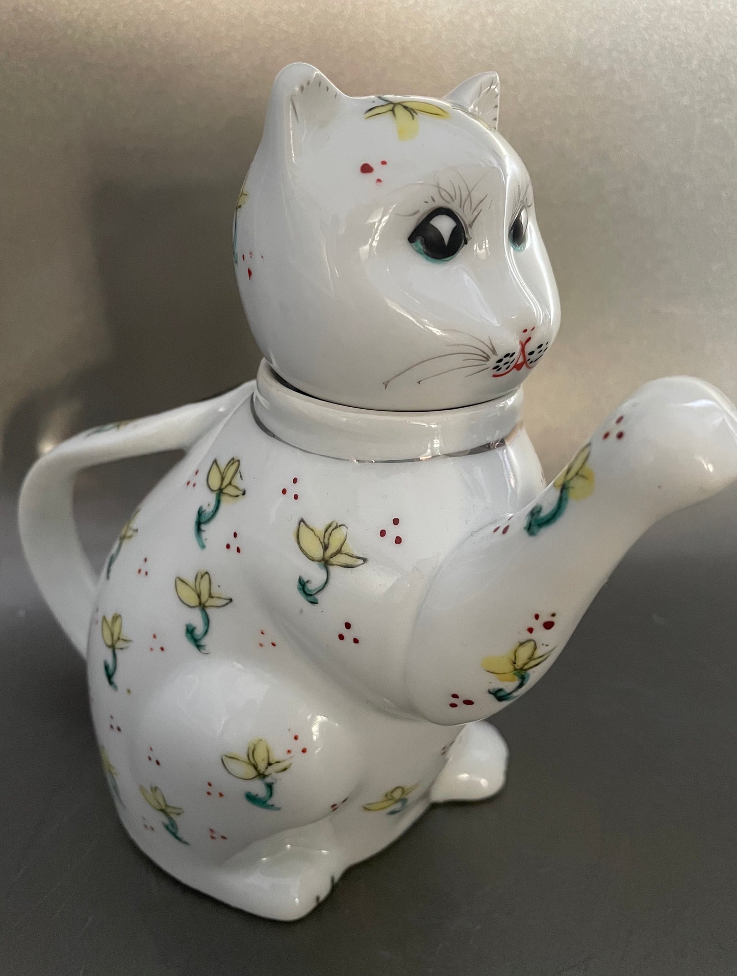 Small teapot cat